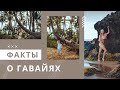 Интересные факты о Гавайях