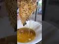 How Sweet Is It the Golden Godness of Natural Honey #shortvideo #honey #nature #sweet #shorts