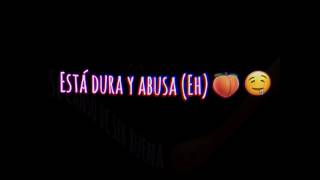 La Tusa ( Karol G ) Lyrics Video Corto Animation Alx