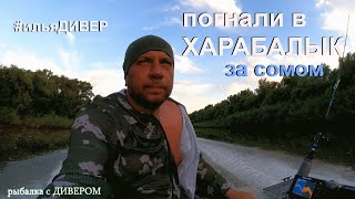 видео: Харабалык (второй день) - СОМЫ в мошку на маленькой речке, июньский выезд 2021 троллинг картинка: Харабалык (второй день) - СОМЫ в мошку на маленькой речке, июньский выезд 2021 троллинг