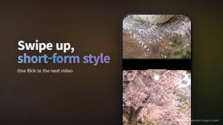 Pi Player 2.0 — Swipe-up video player for your own videos | Speed · Subtitles · Resume screenshot 1