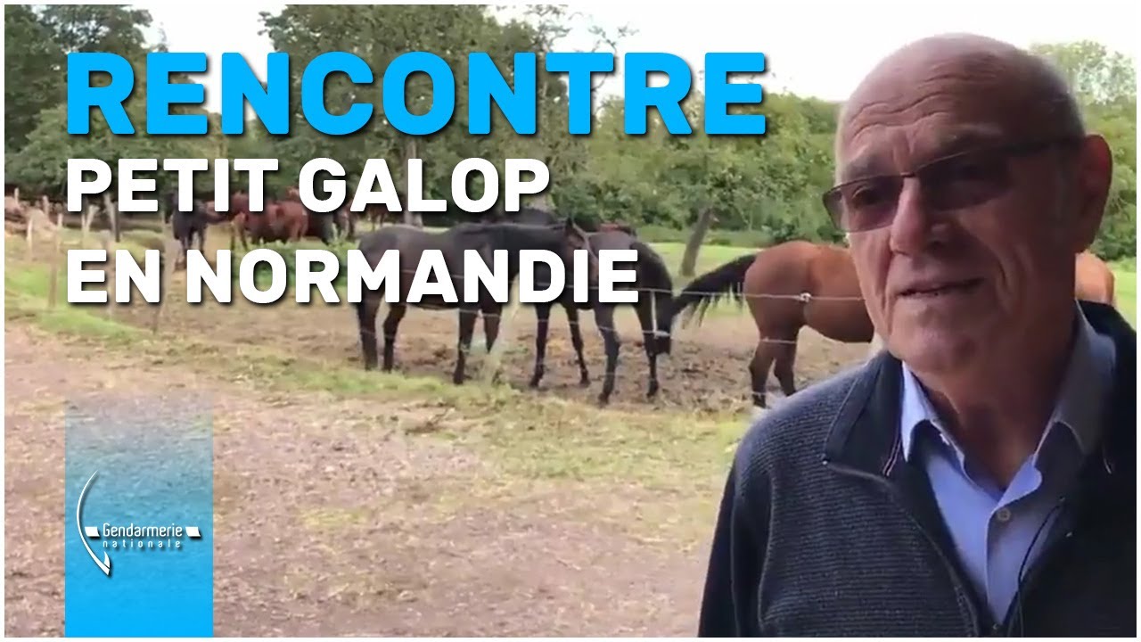 [RENCONTRE AVEC...] Daniel Gueroult qui accueille des chevaux réformés de la Garde Républicaine