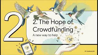 Bird Crowdfunding: How You Can Support Them【Birding Explained】