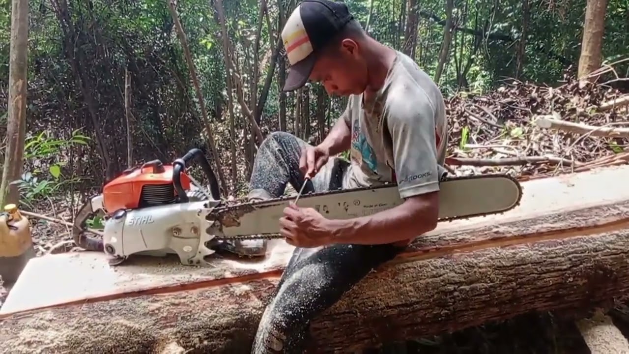 KETERAMPILAN TERBAIK MEMBELAH KAYU || SENSO STIHL 070 @AWINTASANE