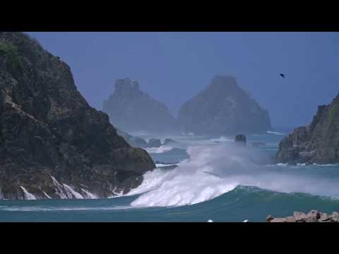 Proibido Nascer no Paraíso - teaser 1