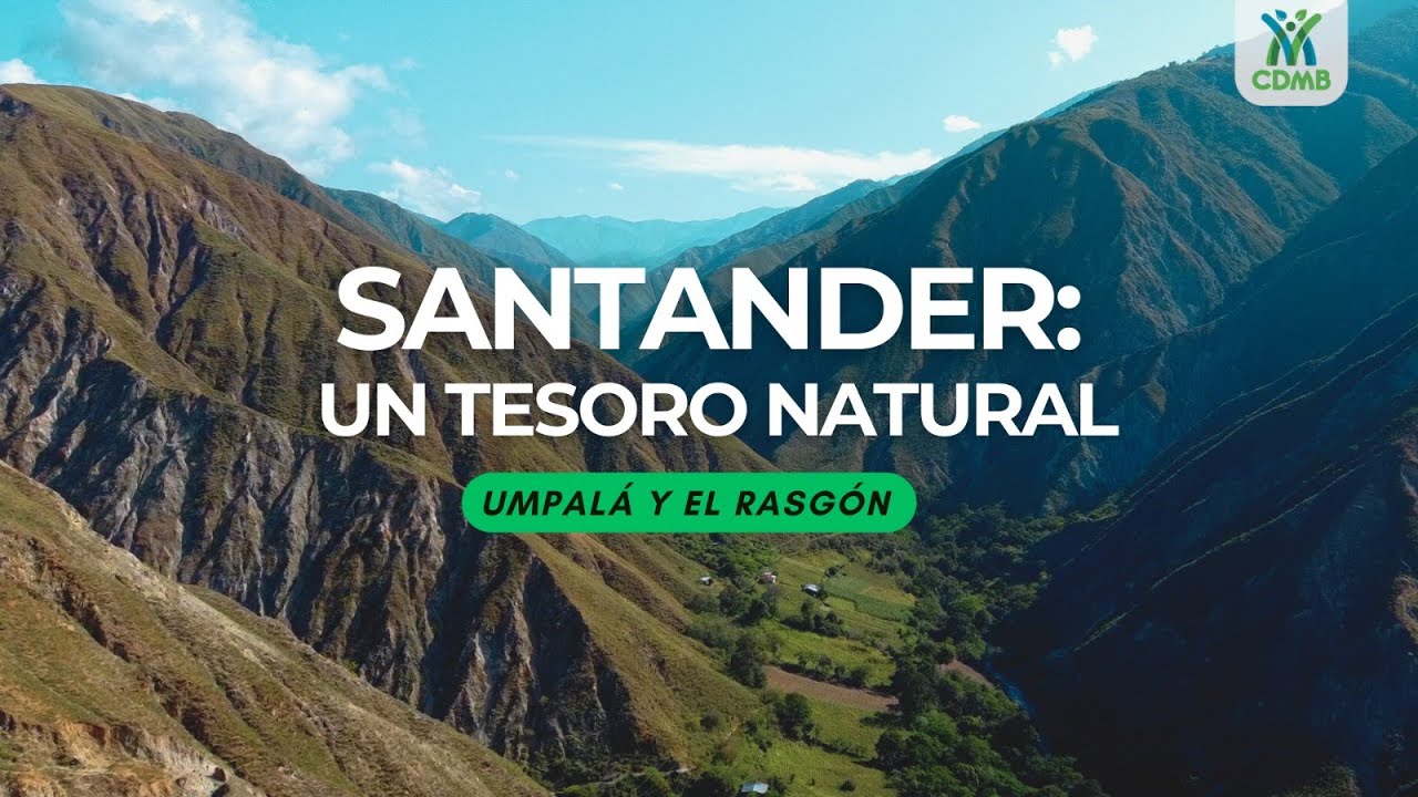 🌿Santander y su riqueza natural: del bosque Seco de Umpalá a los ...