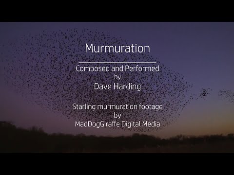 Murmuration - Original Piano Music (Starling Murmuration)