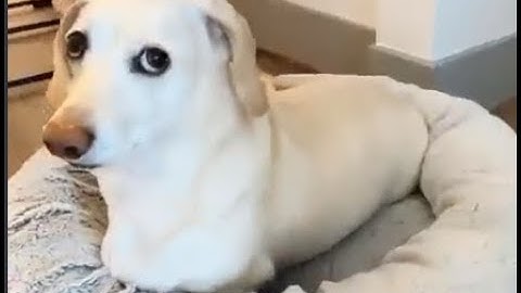 the silly progress video that everyone does