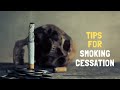 Smoking Cessation - 4 Tips For Smoking Cessation - Stop Smoking