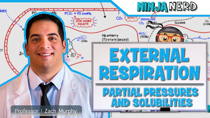 Respiratory | External Respiration: Partial Pressures and Solubilities