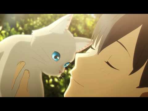 【口琴演奏】『花に亡霊』『泣きたい私は猫をかぶる』主題曲【想哭的時候戴上貓的面具】(Harmonica Cover)