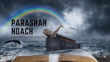 #2a Noach - Illustrated D