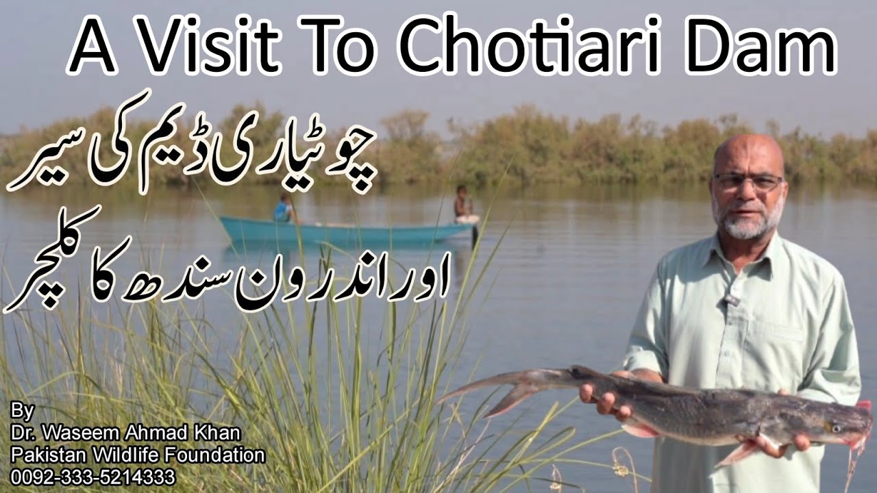 A Visit To The Chotiari Dam | Chotiari Dam Ki Sair | Andaroon Sindh Ka Culture | Explore Sindh 