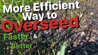 How to PreGerminate Grass Seed