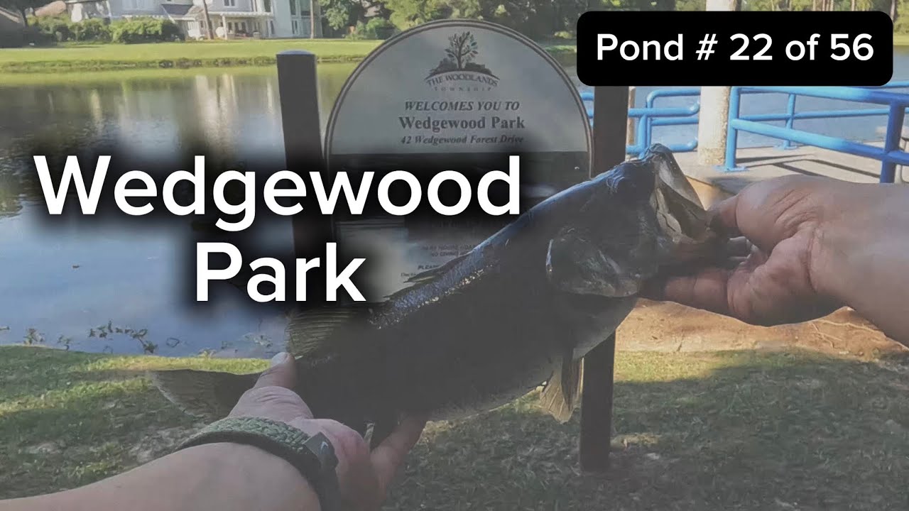 Bass Fishing The Woodlands’ Wedgewood Park – That’s One Huge Park!