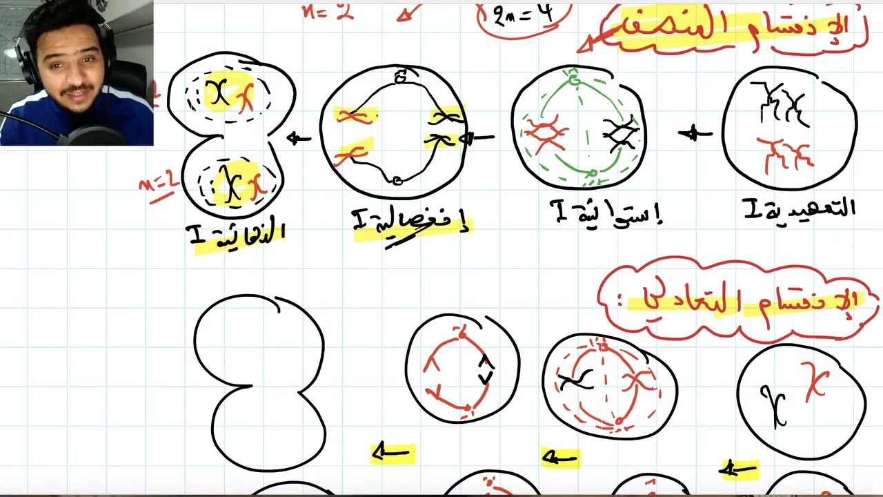 الاستعداد الوطني ، نقل الخبر الوراثي عبر التوالد الجنسي svt fabour