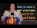 How to Make a Wet Specimen Jack-o&#39;-lantern | Mütter Crafternoon