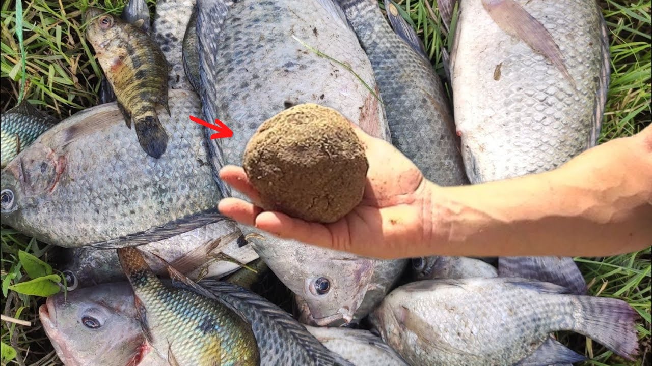 ESSA MASSA PARA TILÁPIA VAI SER PROIBIDA DE TANTO QUE PEGA,PESCARIA TESTANDO !