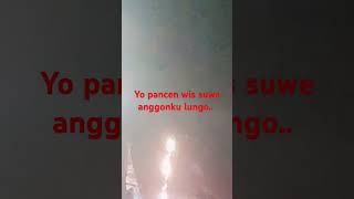 Shinta Arshinta Ft Arya Galih Nagih Janji Om Sagita Jandhut