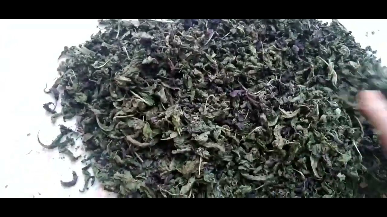 РАЙХОН дан ЖАННАТ хиди келади 🌿🌹