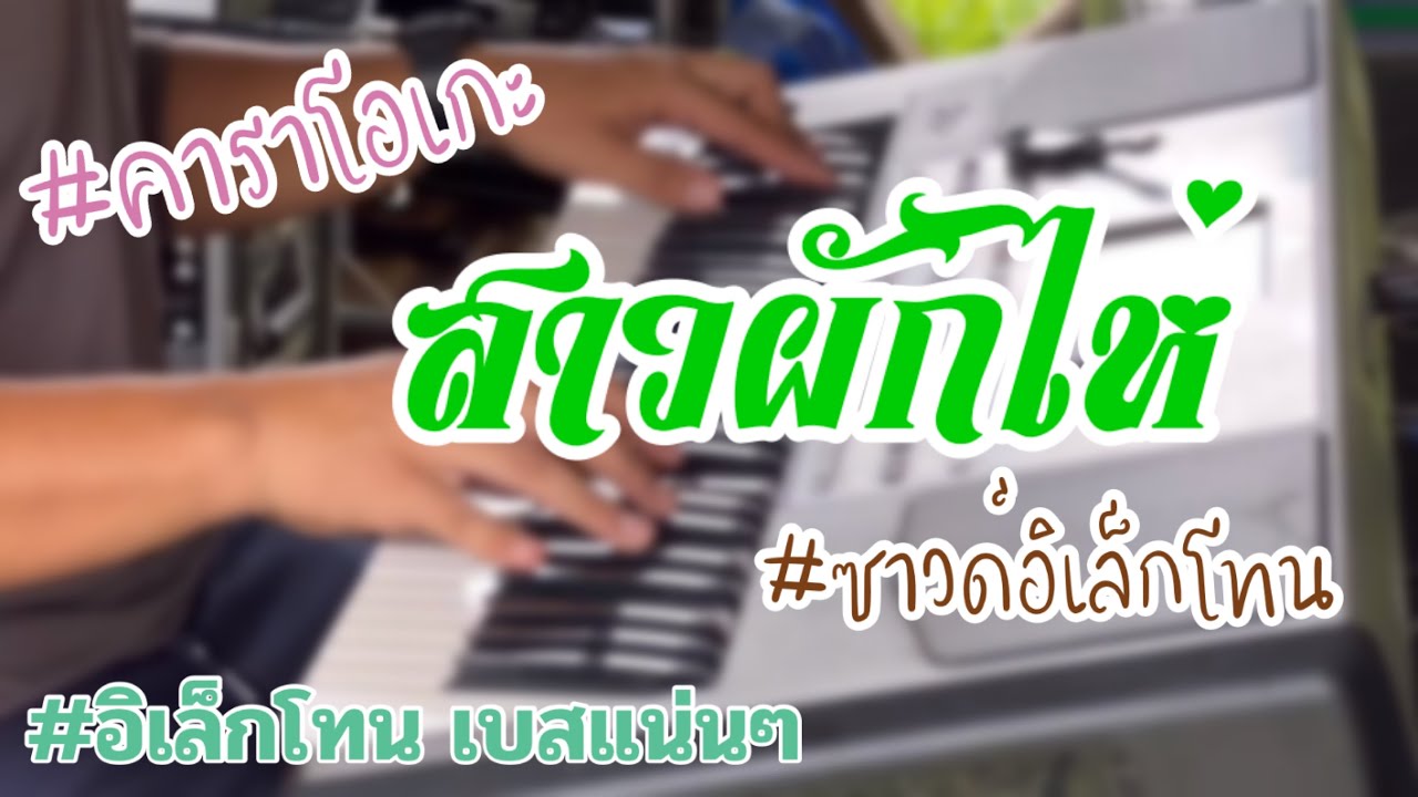 สาวผักไห่ #ซาวด์อิเล็กโทน #คาราโอเกะ #เพลงลูกทุ่ง #อิเล็กโทน #เบสแน่นๆ