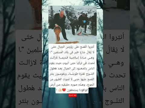 أنثروا القمح على رؤوس الجبال حتى لا يقال جاع طير في بلاد المسلمين وهي عادة إسلامية قديمة لازالت