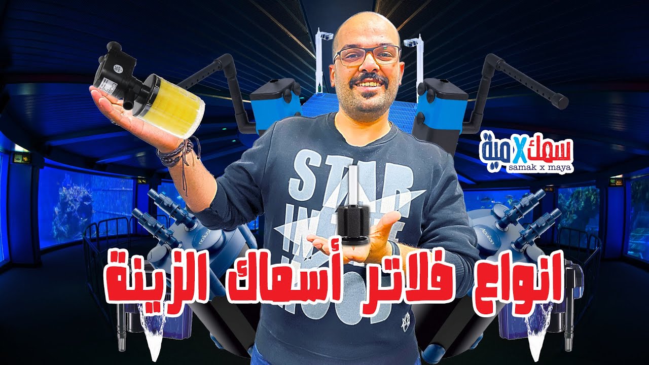 انواع فلاتر أسماك الزينة بشكل بسيط