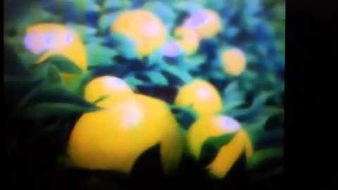 Rune Factory 3 2nd Intro