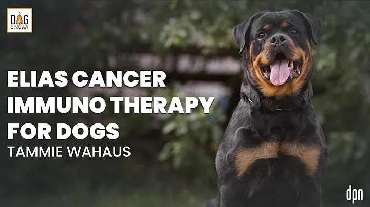 ELIAS Cancer Immunotherapy for Dogs | Tammie Wahaus