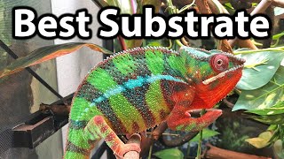 What substrate to use for a chameleon cage