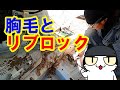 レストアプロジェクト「RX-7,FD3S編」#１３「フロアのサビ落とし」
