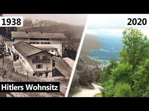 Video: Eine Mulde in einem Baum, durch die man fahren kann