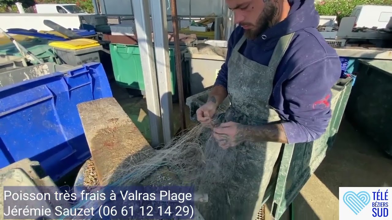 Poisson très frais à Valras Plage