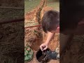 New water service #plumberlife #diy #pexfitting #plumber #plumbinglife #plumbingapprentice #trench