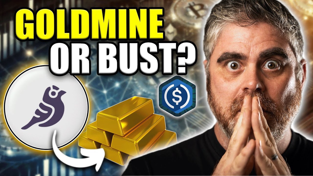 How $GFI Is Bringing Credit To DeFi (Where Crypto Meets TradFi)