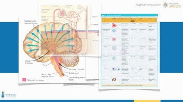 Navigate eFolio: Pathophysiology Video