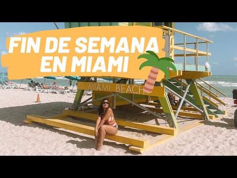 Video: Los mejores restaurantes veganos y vegetarianos de Miami