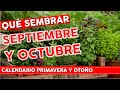 AHORA ❤ Qué sembrar en SEPTIEMBRE Y OCTUBRE - PRIMAVERA Y OTOÑO- Calendario de Cultivos