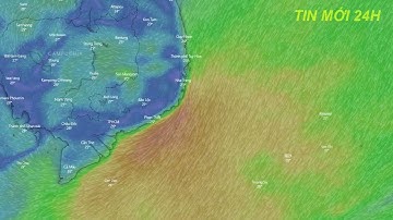 Dự báo thời tiết hôm nay mới nhất ngày 2/3 | Dự báo thời tiết 3 ngày tới#thờitiết