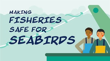 Making Fisheries safe for seabirds