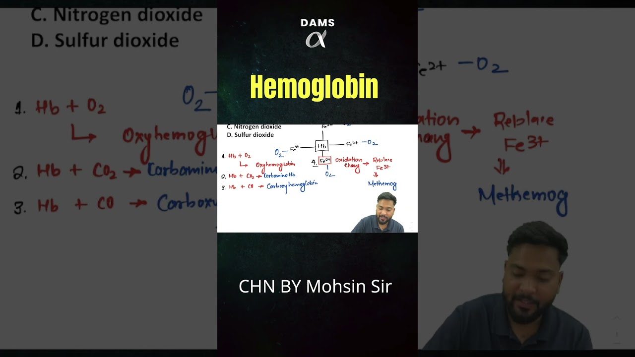 Hemoglobin explained by Mohsin Sir | DAMS Nursing