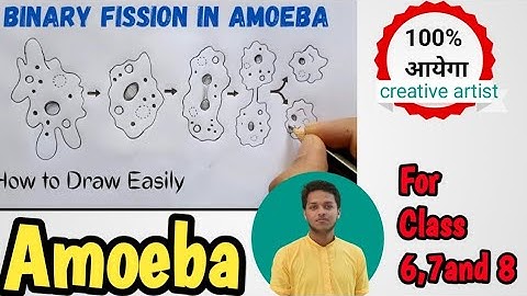 How To Draw Binary Fission In Amoeba||Binary Fission In Amoeba Diagram|| Binary Fission Diagram:CBSE