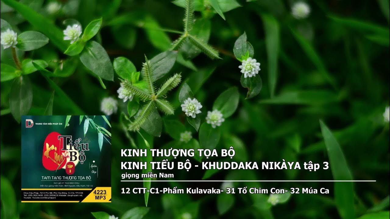 Tập 3 – 12 CTT–C1–Phẩm Kulavaka– 31 Tổ Chim Con– 32 Múa Ca giọng miền Nam 