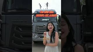 Top 4 Mẫu Đầu Kéo Cực Hot Nhà Hổ Vồ  – “Người tình trong mộng” của dân vận tải