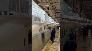 Shinkansen (Bullet Train) slowly pulling into Tokyo station