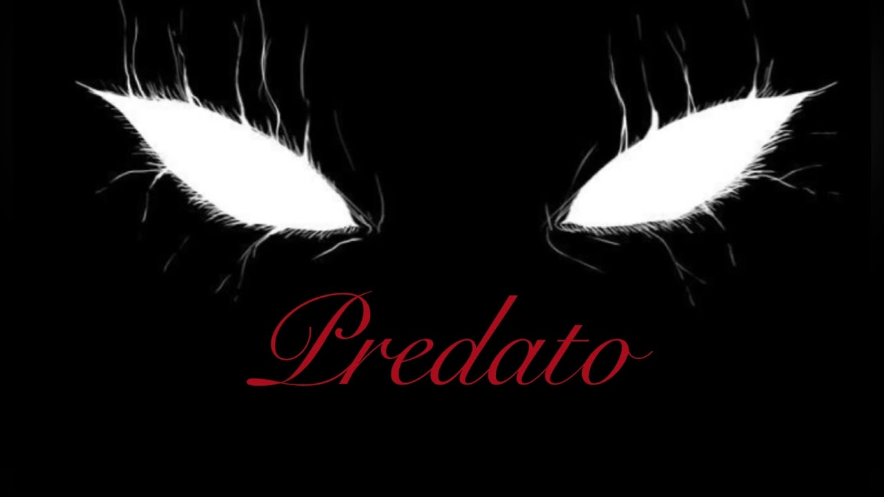 KAYWENR ‘predato’ lyrics vidéo