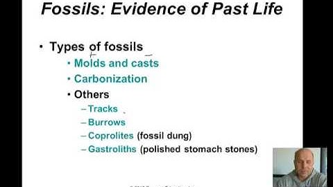 Geologic Time Part II Fossils