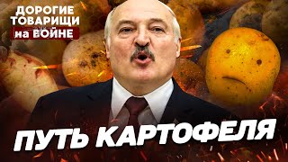 ПУТЬ КАРТОФЕЛЯ. ЛУКАШЕНКО. ДОРОГИЕ ТОВАРИЩИ