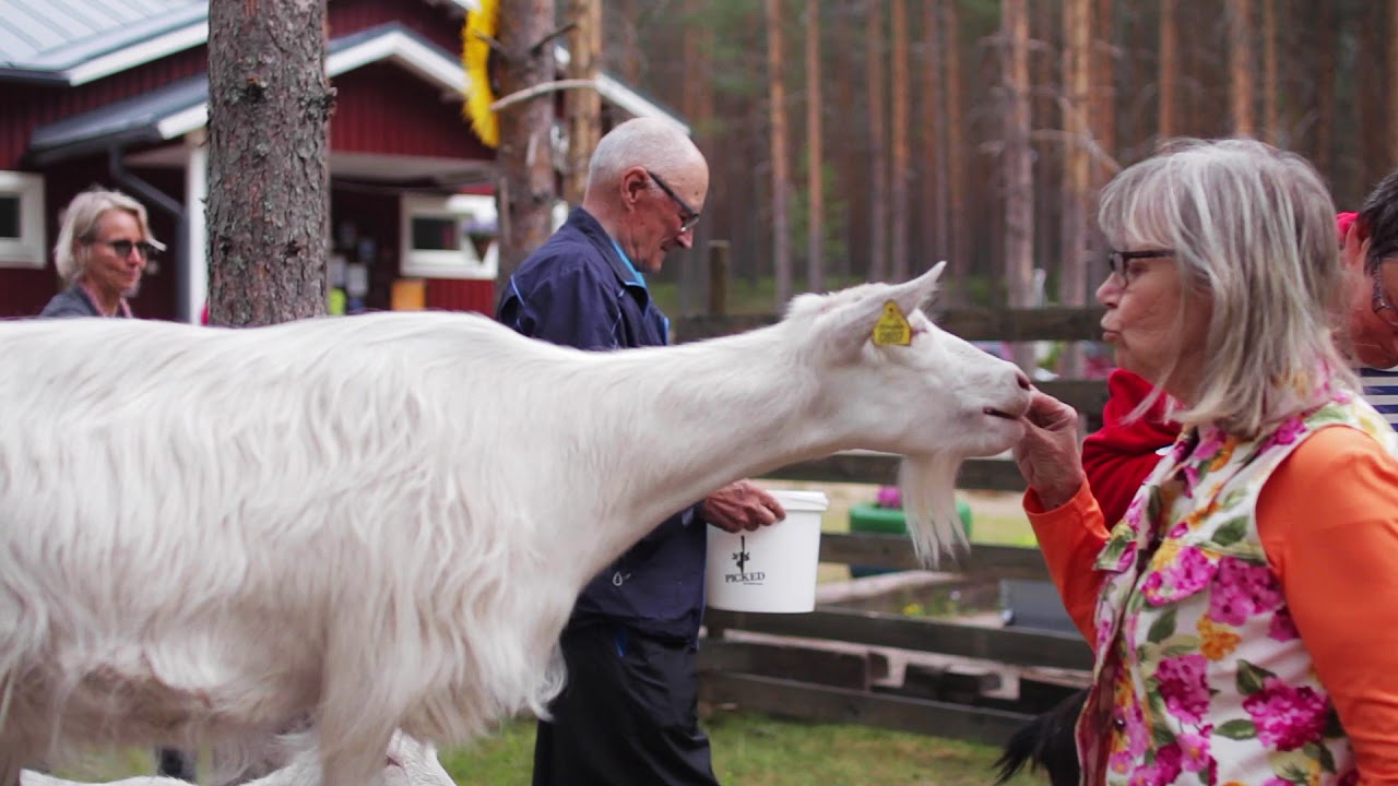 Piispala Pieneläinkoti Pihka