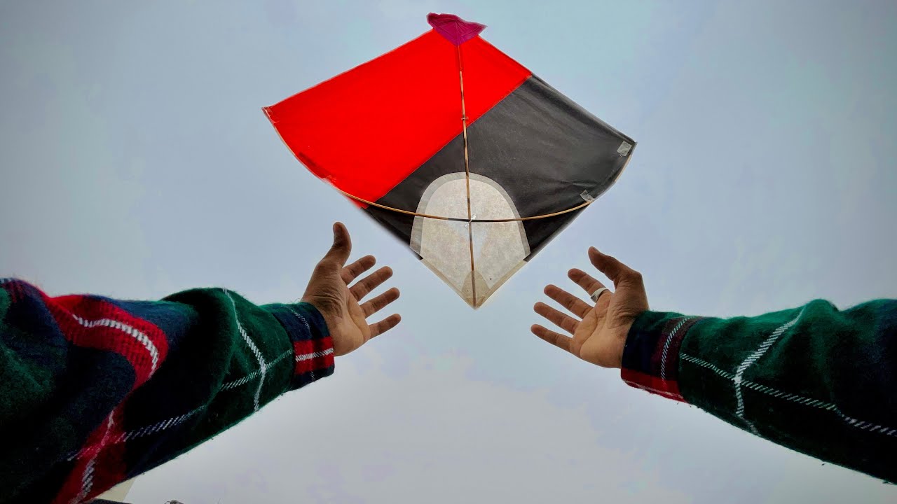 Bahut saari patang loot li 🪁😮| kite looting | kite catching | patang | kites | kite | patang pakad 😍